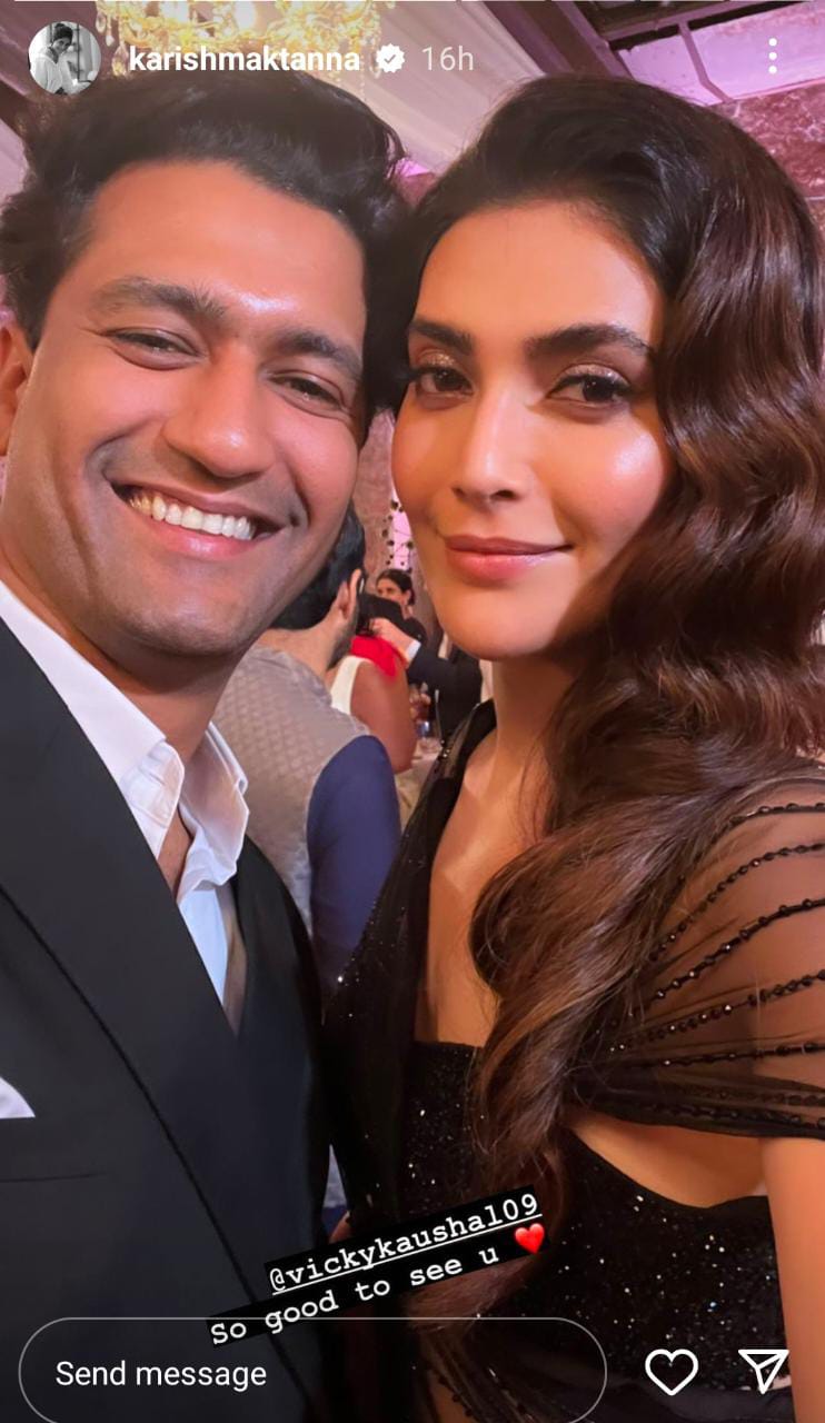 vicky kaushal, karishma tanna, richa chadha, ali fazal