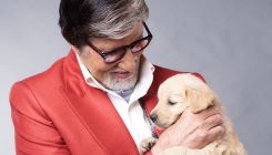 Amitabh Bachchan pens a heartfelt note as his pet dog passes away