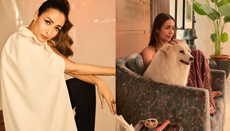 malaika arora, malaika arora instagram, malaika reality show,