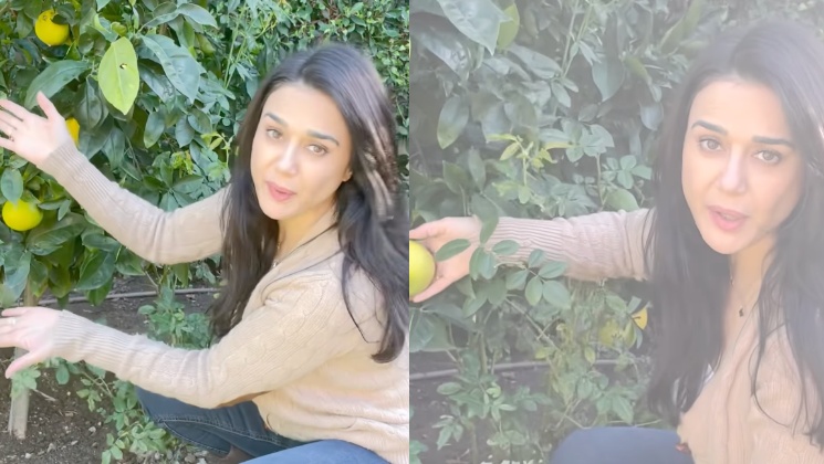 preity zinta, preity zinta instagram, preity zinta video,