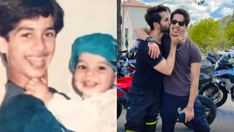 shahid kapoor, ishaan khatter