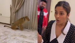 Shehnaaz Gill panics after seeing a lion in the hotel room- watch