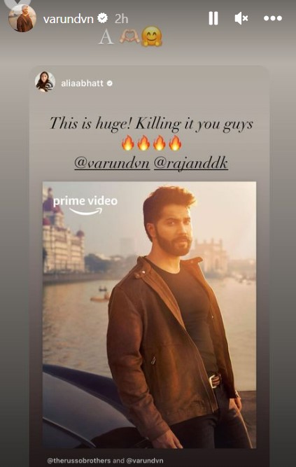 alia bhatt, varun dhawan, citadel