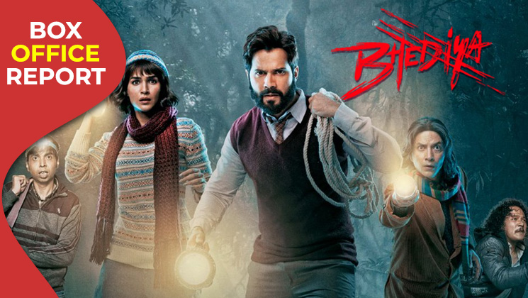 Varun Dhawan, Kriti Sanon, bhediya, bhediya box office, bhediya first week box office,