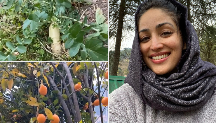 yami gautam, yami gautam instagram, a thursday,