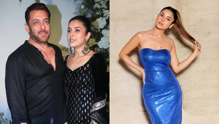 shehnaaz gill, shehnaaz gill salman khan, bigg boss 16, shehnaaz gill ghani sayani, mc square, s