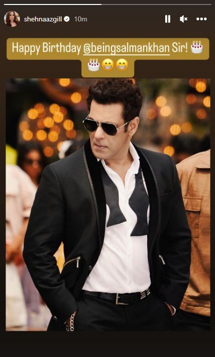 salman khan, salman khan birthday, shehnaaz gill, shehnaaz gill instagram,shehnaaz gill pics, 