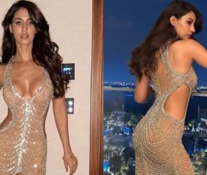 disha patani, disha patani sheer gown, disha patani pics, disha patani movies,