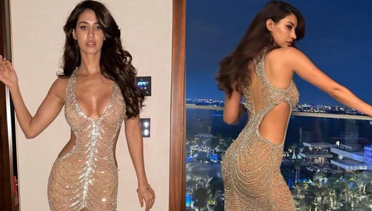 disha patani, disha patani sheer gown, disha patani pics, disha patani movies,