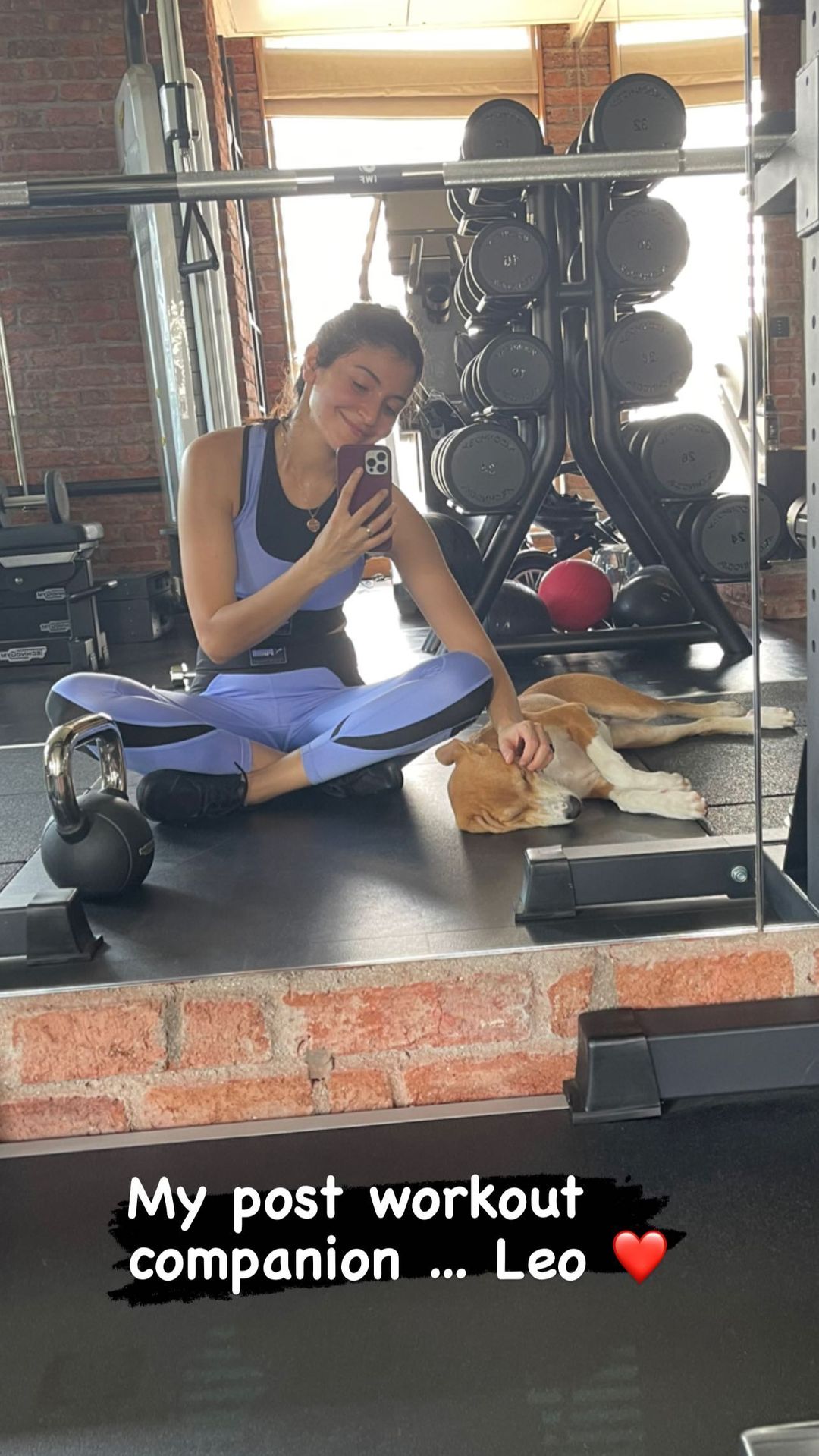 Anushka-Sharmas-Instagram-stories