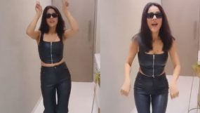 shehnaaz gill, shehnaaz gill instagram, kisi ka bhai kisi ki jaan song billi billi,