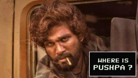 allu arjun, pushpa, pushpa 3