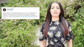 celina jaitly, celina jaitly troll, fardeen khan