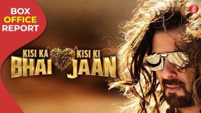 kisi ka bhai kisi ki jaan box office collection,