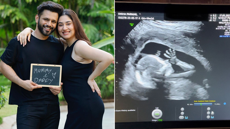 Disha Parmar, Rahul Vaidya, pregnancy