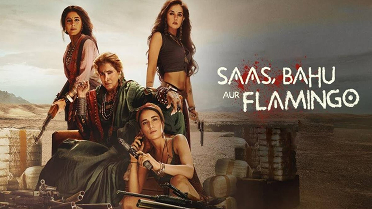 Saas Bahu aur flamingo, Saas Bahu aur flamingo review, Saas Bahu aur flamingo audience reaction