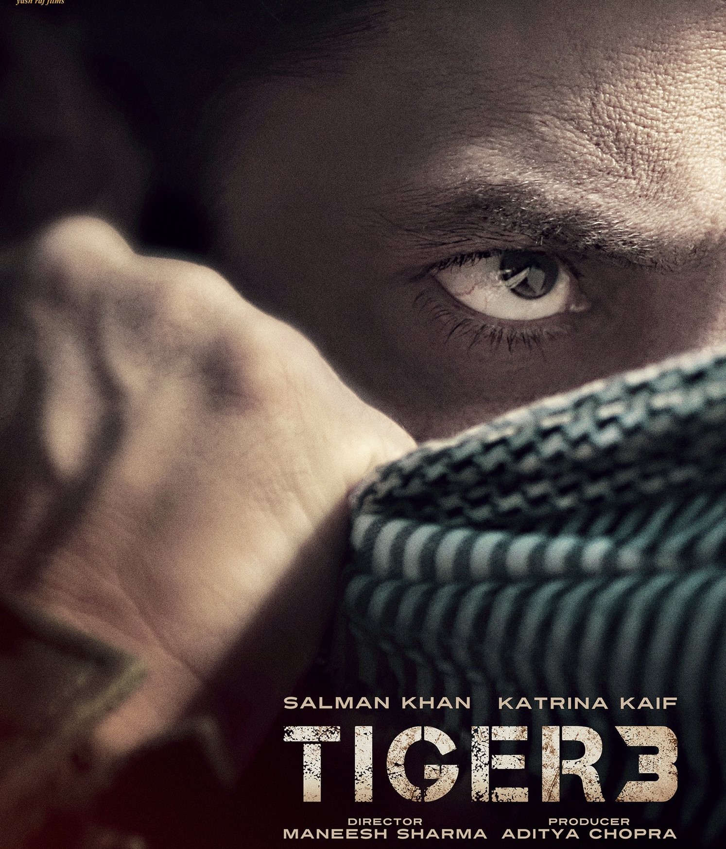 Tiger-3-poster