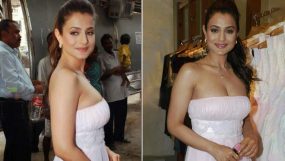 Ameesha Patel, Ameesha Patel gadar 2, gadar 2