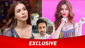 palak purwani, rubina dilaik, bigg boss ott 2, avinash sachdev
