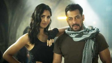 Salman Khan & Katrina Kaif starrer Tiger 3 has a marvel connection