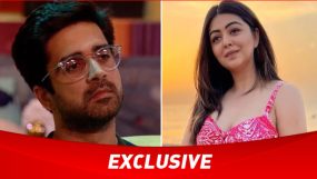 avinash sachdev, shafaq naaz, bigg boss ott 2