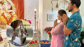 rubina dilaik, rubina dilaik pregnant