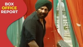sunny deol, gadar 2, gadar 2 success