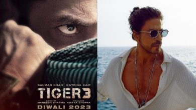 Salman Khan and Shah Rukh Khan starrer Tiger vs Pathaan shoot schedule ...