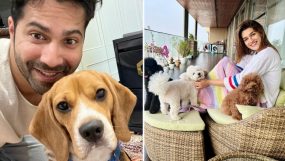 international dog day, kriti sanon, varun dhawan