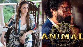 esha deol, bobby deol in animal teaser,