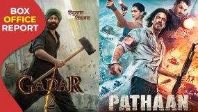 gadar 2 box office, pathaan,