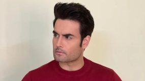 vivian dsena,