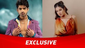 isha malviya and abhishek kumar, bigg boss 17,