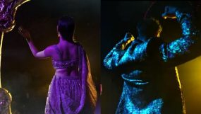 bigg boss 17 contestants, salman khan, bigg boss 17 premiere,