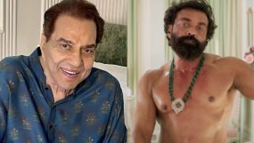 dharmendra, bobby deol, animal