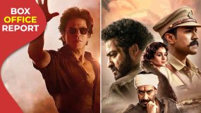 jawan, jawan box office, shah rukh khan,