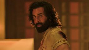 ranbir kapoor, animal