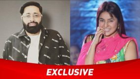 sunny arya, shehnaaz gill, bigg boss 17