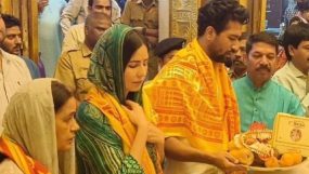 vicky kaushal, katrina kaif, katrina kaif pregnant,