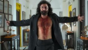 ranbir kapoor, animal 2,