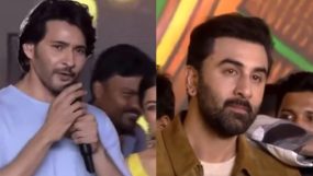 mahesh babu, ranbir kapoor, animal,