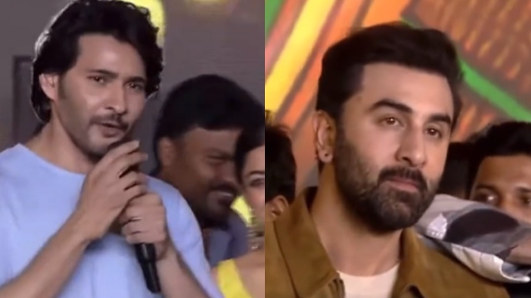 mahesh babu, ranbir kapoor, animal,