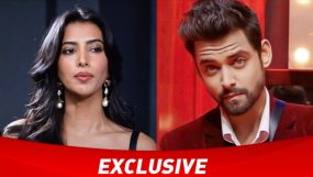 manasvi mamgai, samarth jurel, bigg boss 17