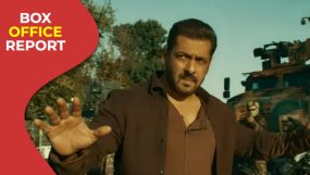 salman khan, tiger 3, tiger 3 box office,
