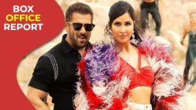 salman khan, katrina kaif, tiger 3, tiger 3 box office