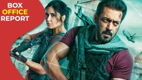 salman khan, katrina kaif, tiger 3