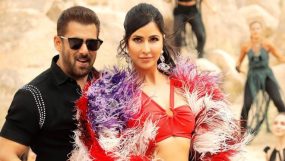 salman khan katrain kaif, tiger 3,