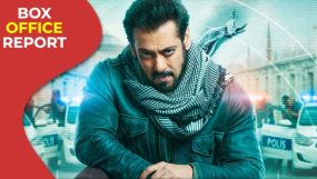 salman khan, tiger 3, tiger 3 worldwide box office collection