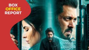 tiger 3 worldwide box office