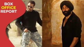 tiger 3, gadar 2, tiger 3 box office,